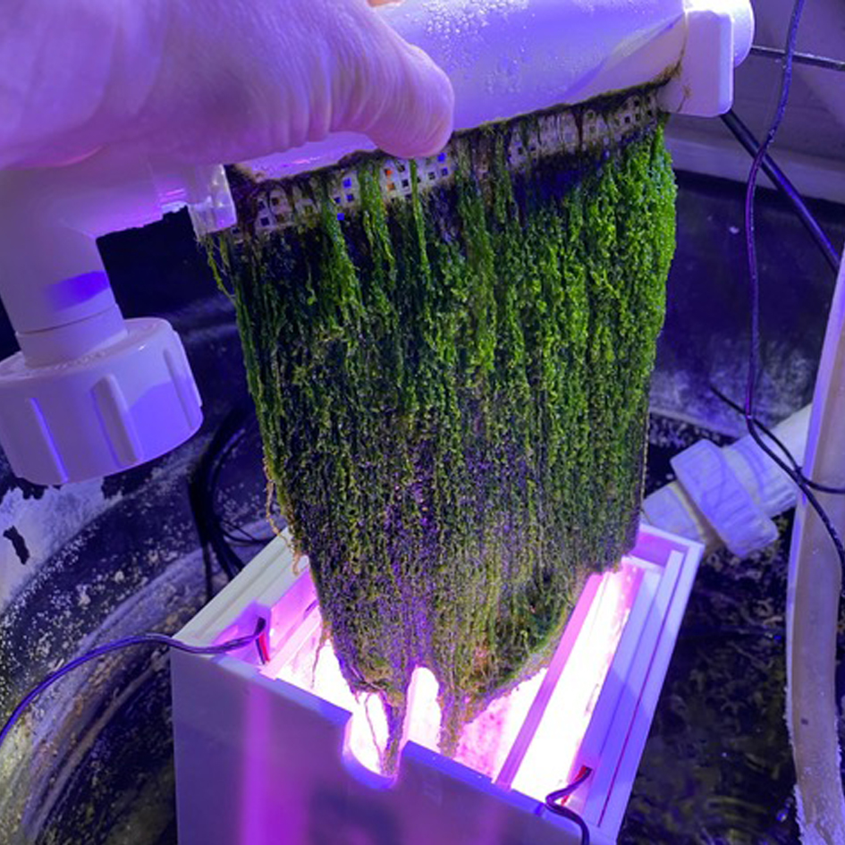 IC_AGSPROTurfScreen