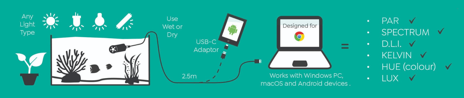 ParWise Infographic
