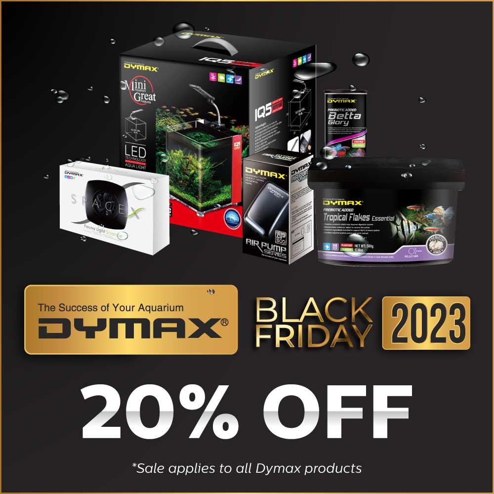 bf-2023-eblast-and-social-dymax