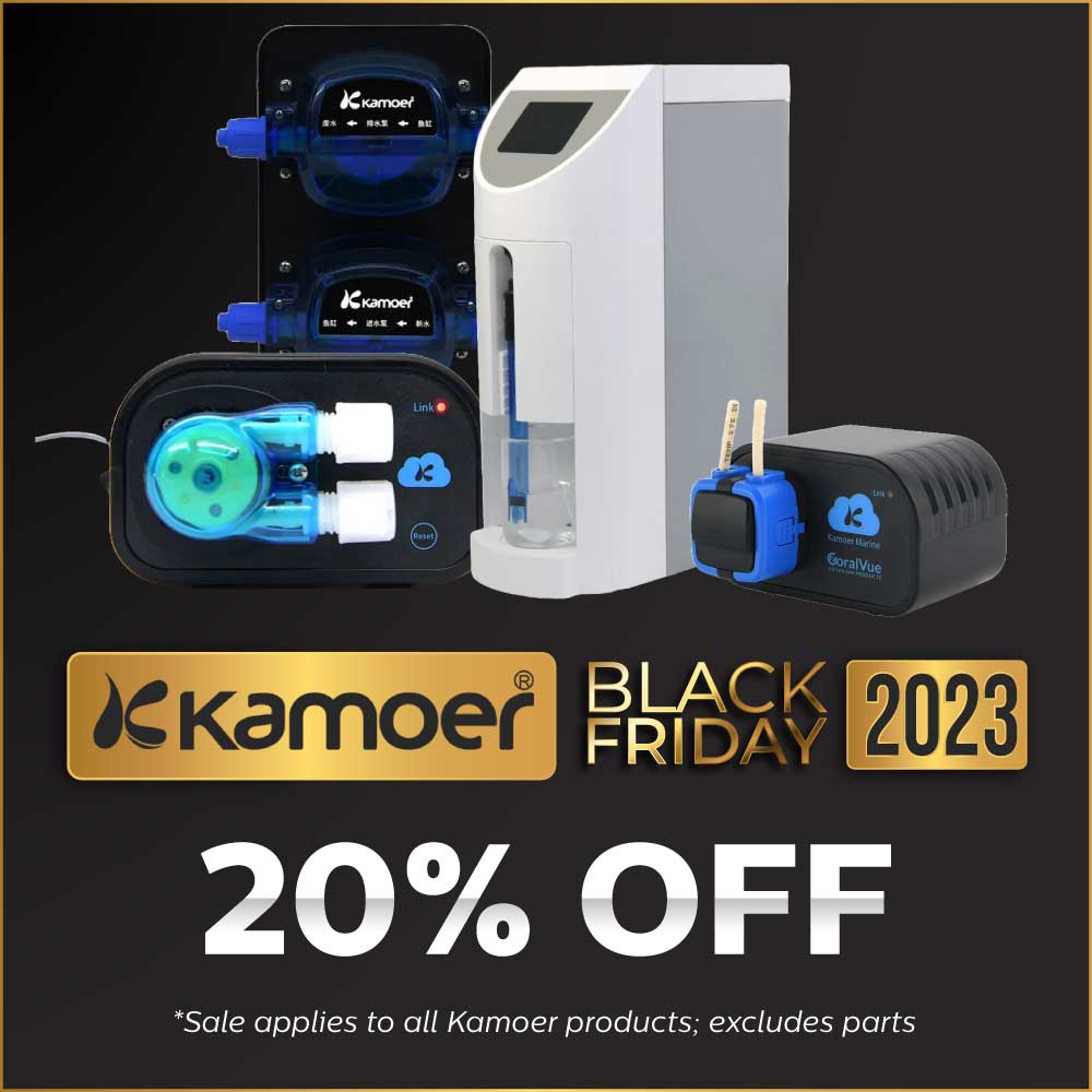 bf-2023-eblast-and-social-kamoer